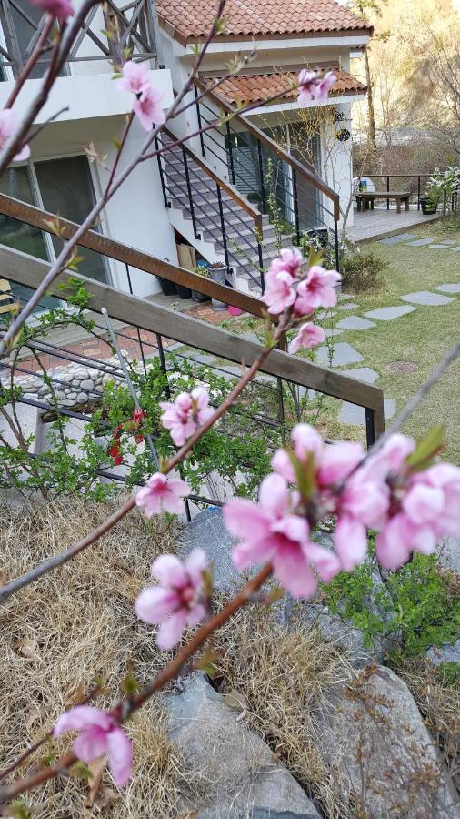 Saint Paul De Vence Villa Damyang Exterior photo